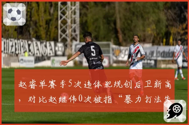 赵睿单赛季5次违体犯规创后卫新高，对比赵继伟0次被指“暴力打法失格”