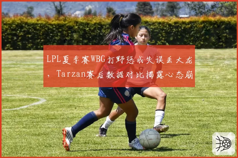 LPL夏季赛WBG打野惩戒失误丢大龙，Tarzan赛后数据对比揭露心态崩溃