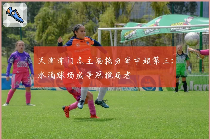 天津津门虎主场抢分率中超第三：水滴球场成争冠搅局者