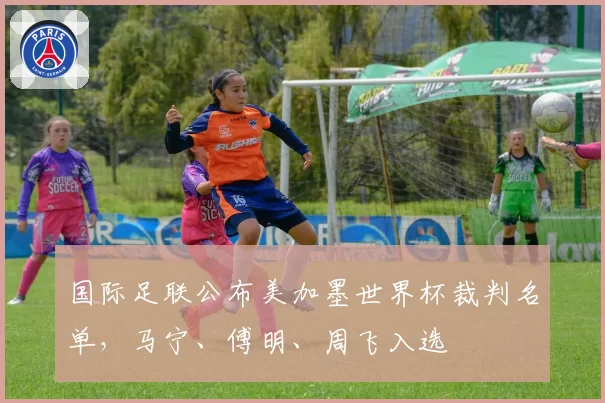 国际足联公布美加墨世界杯裁判名单,马宁、傅明、周飞入选